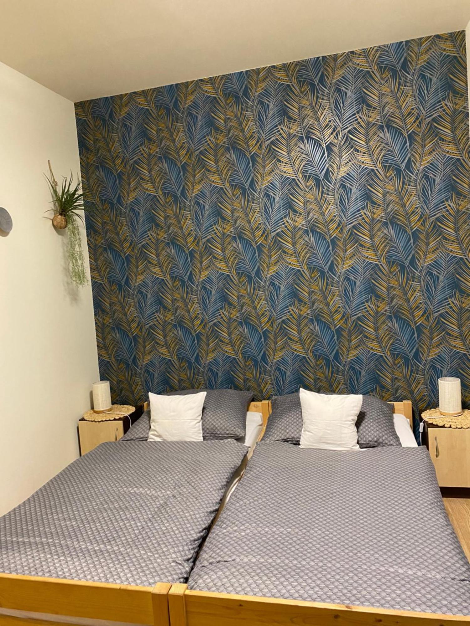 Takacs Vendeghaz Apartment โชพรอน ภายนอก รูปภาพ