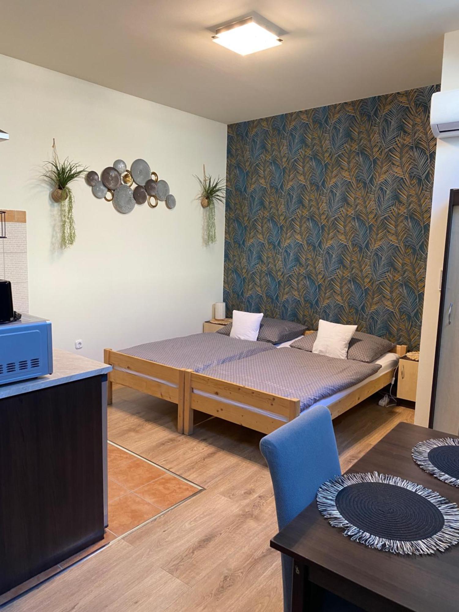 Takacs Vendeghaz Apartment โชพรอน ภายนอก รูปภาพ